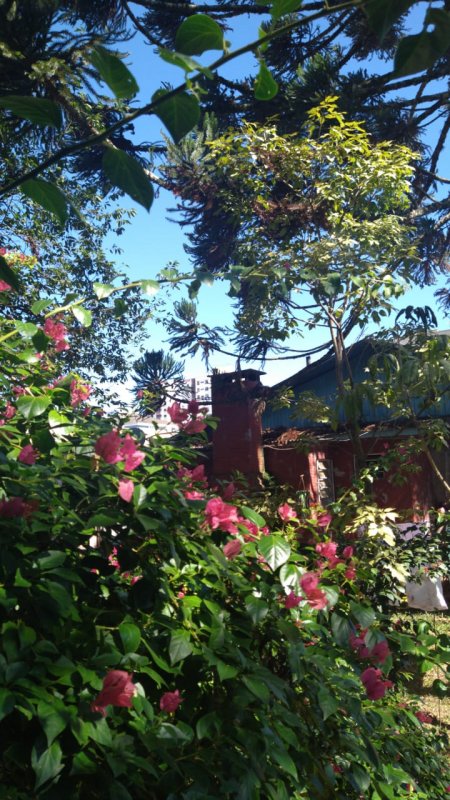 Casa - Venda - Centro - Getlio Vargas - RS
